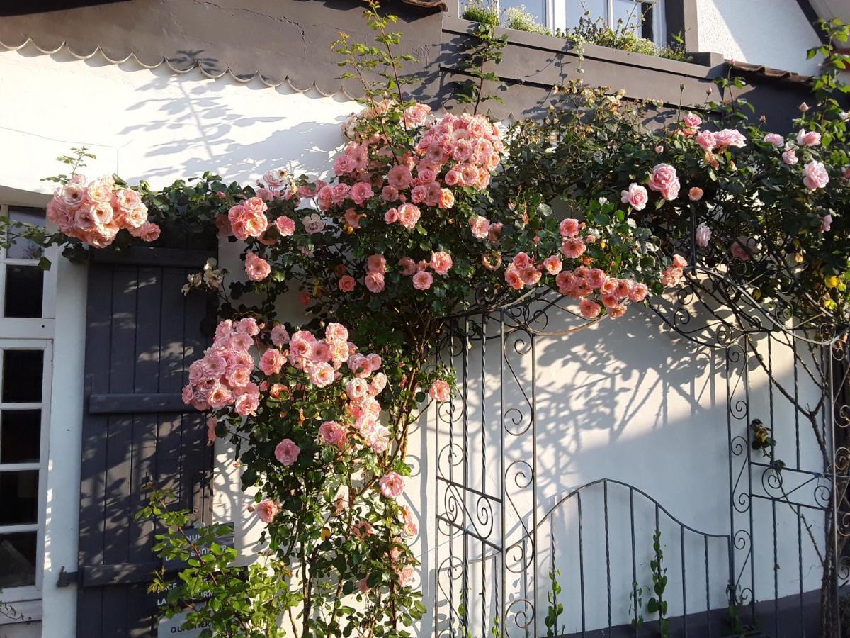 Au Moulin De Valerie Bed & Breakfast Frencq Dış mekan fotoğraf