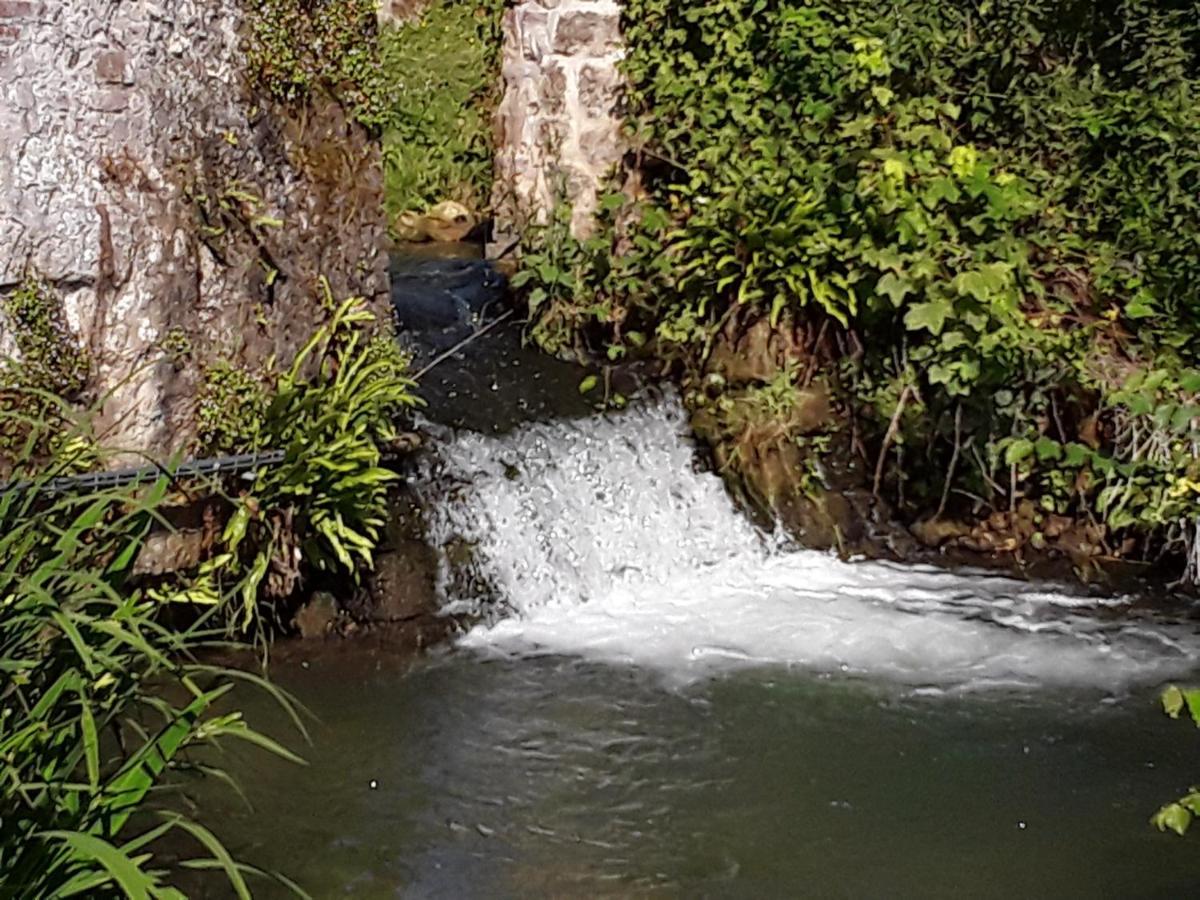 Au Moulin De Valerie Bed & Breakfast Frencq Dış mekan fotoğraf